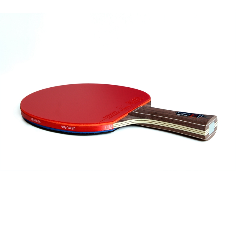 مضرب تنس الطاولة من ليموريا إي - مراجعة Table Tennis Paddle Set وسعره