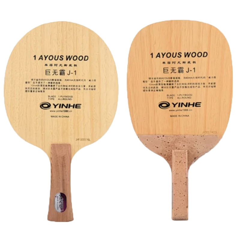 مضرب تنس طاولة أصلي من جالاكسي - مراجعة Table Tennis Paddle Set وسعره
